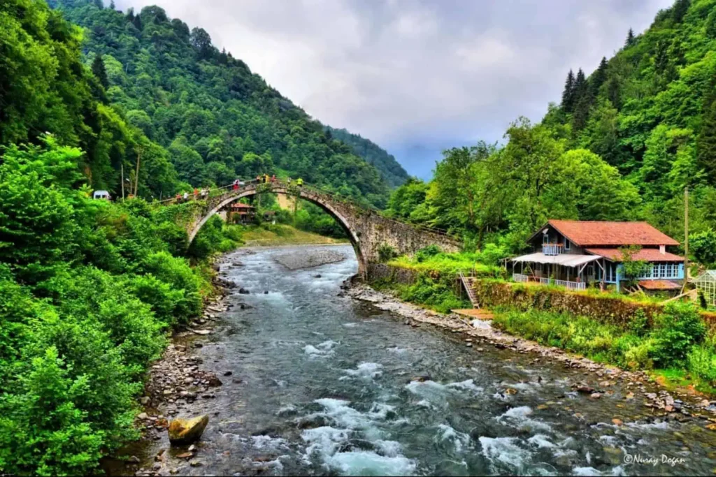 Karadeniz Turu Planlaması